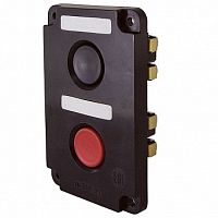 Кнопочный пост ПКЕ, 2 кнопки |  код.  SQ0742-0012 |  TDM